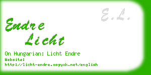 endre licht business card